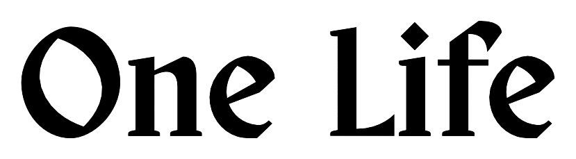 One Life Bold Script design
