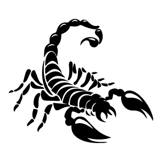 Scorpion's Embrace design