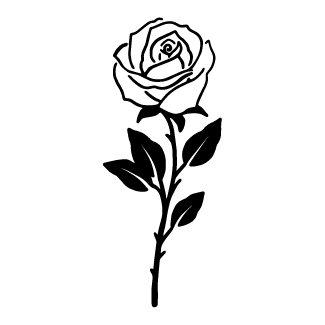 Eternal Rose Elegance design