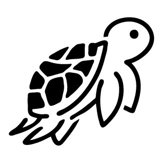 Timeless Tortoise Journey design