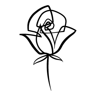 Eternal Rose Line design