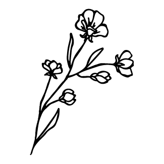 Whispering Wildflowers design