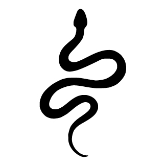 Serpent's Grace design