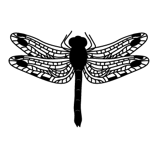 Ethereal Dragonfly design